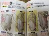 スイミングブレス(息継ぎ)から見るヨガの呼吸法