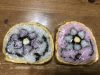 人生は「アリとキリギリス」✤せっせっと働き(動き)…好きな事を楽しむ