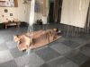 身体の刺激は…✤メンタル(精神面)脳と心の栄養素