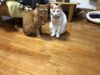 物忘れをする自分に言い聞かせて…✤これからが「生きる」本番!