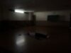 日曜日のアシュタンガヨガ✤身体に優しいアシュタンガヨガを