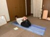 土曜日の午後はHOMEヨガ✤久しぶりのスケルトン君