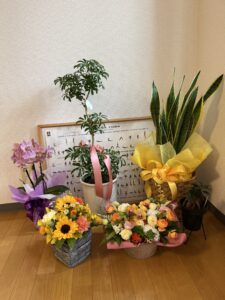 5月24日（日）薬円台スタジオ OPEN！☆彡たくさんのお祝いありがとうございました