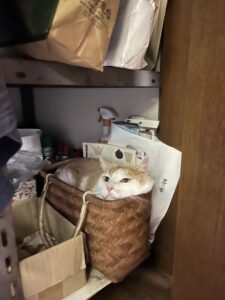 土曜日のヨガ✤令和8年8月千葉豪雨…身を守る行動アップデート