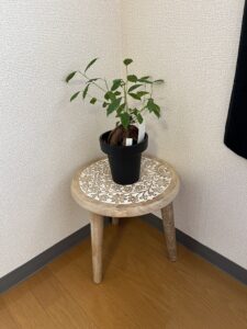 土曜日のヨガ✤体が喜ぶアシュタンガヨガ＆体の癖修正コンディショニングヨガ
